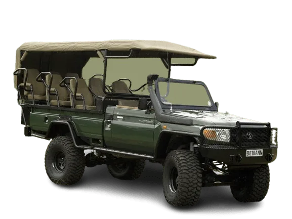 Safari Jeep