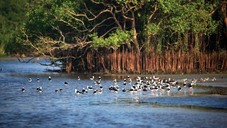 The lagoon at Kalametiya Bird Sanctuary