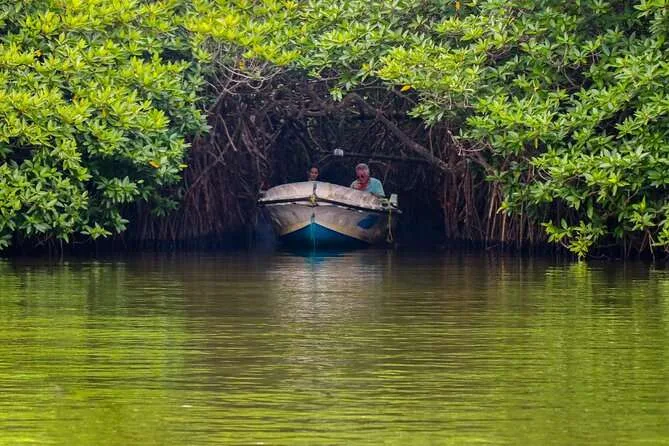 The mangroves of the Madu River